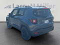 2020 Jeep Renegade Altitude